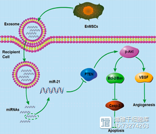 1-210S0124P25G.jpg